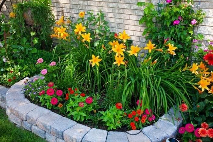 kleine leuchtende Blumen im Landschaftsdesign eines Landhauses