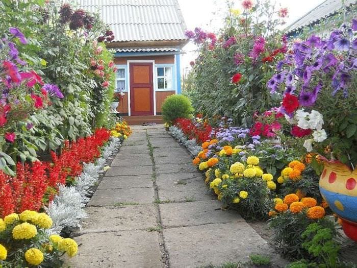 kleine helle Blumen in Blumenbeeten im Landschaftsdesign