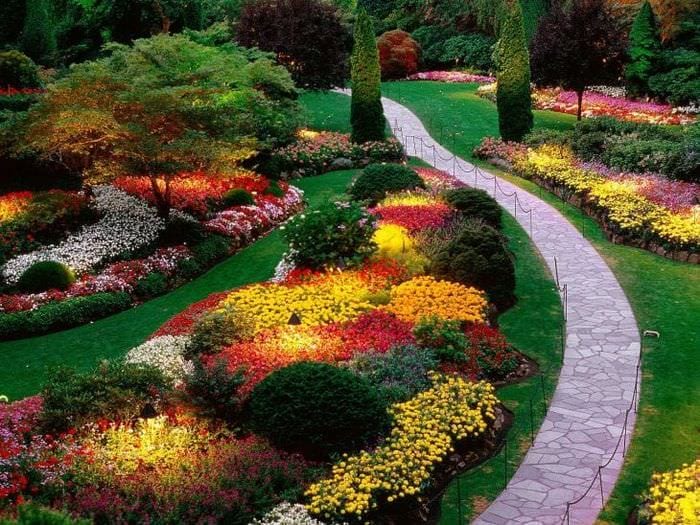 große schöne Blumen in der Landschaftsgestaltung der Vorstadt