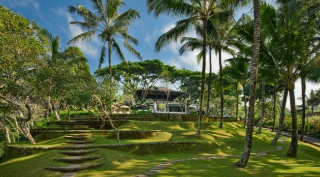 Luksus Bali ø havepalmer