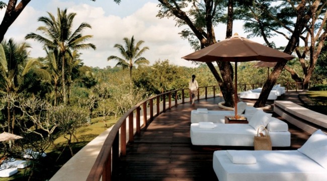 Hotel midt i jungle -spa -feriestedet
