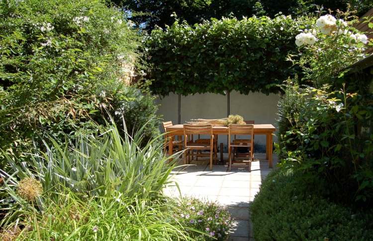 Espalier -træ som fortrolighedsskærm for stedsegrønne arter til hjemmets have og terrasse