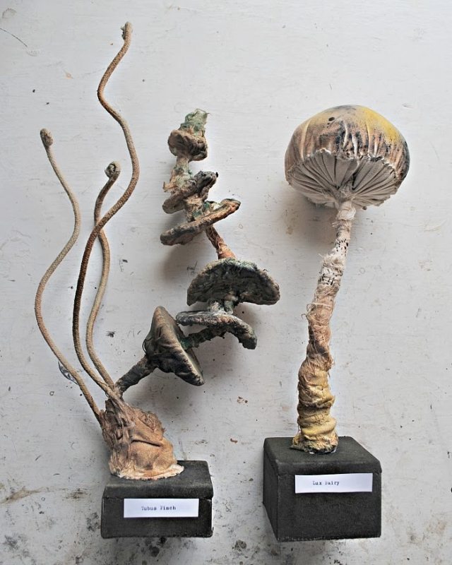 eventyr dekoration tinker ideer syning af svampe med bund