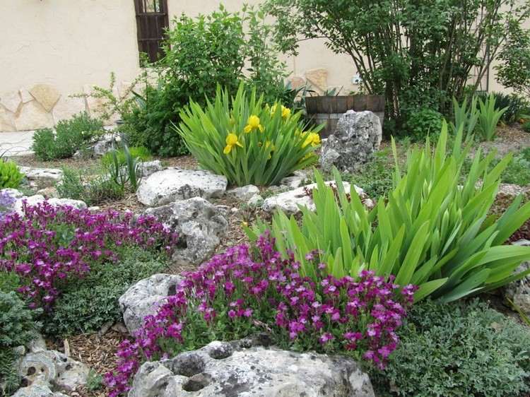 sten-have-skabe-gul-iris-lilla-blomstrende-stauder