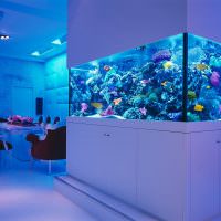 Aquarium im Inneren des Wohnzimmers eines Privathauses