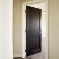 أبواب مظلمة في تصميم شقة من صورة الصنوبر