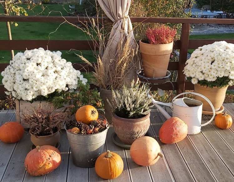 Efterårsdekoration med blomster og græskar på terrassen