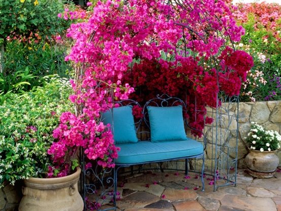 Baggård pink røde blomster blå bænk