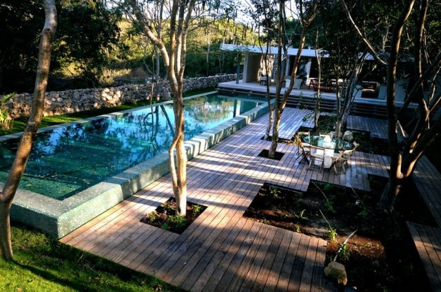 Ideer træer pool have design