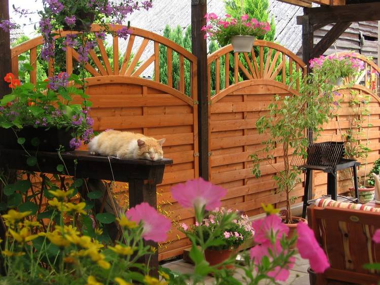 Fortrolighed skærm gårdhave træ hegn blomster