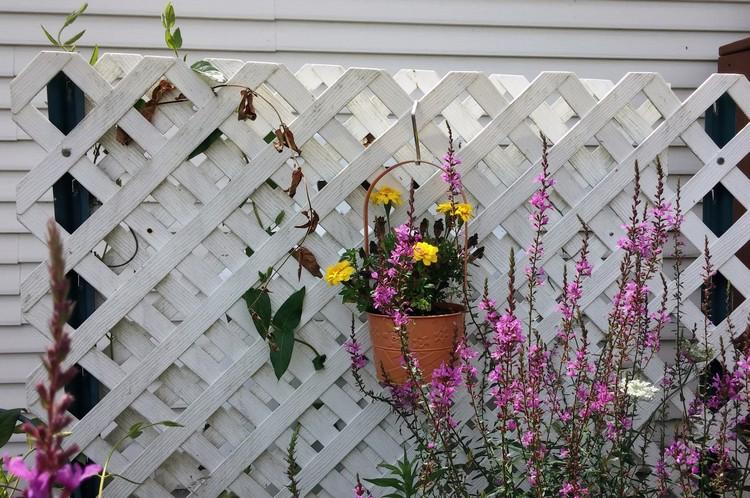 Ideer terrasse privatliv skærm espalier træplanter