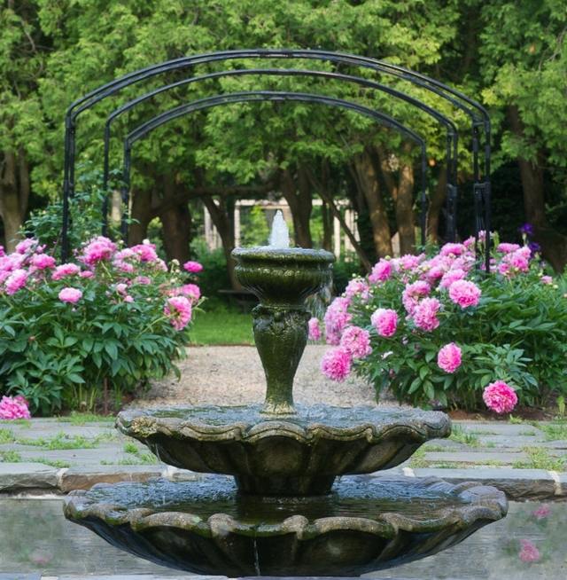 Opret stil pæoner pink blomster have springvand pergola