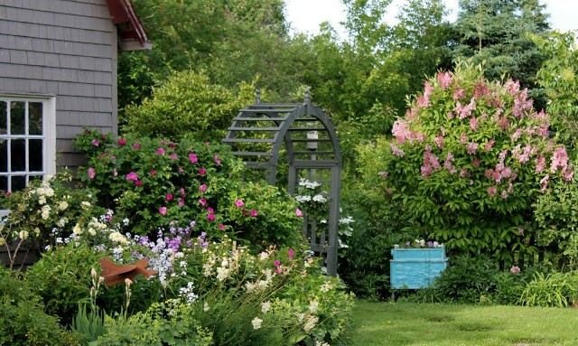 Blomster i landlig stil pæoner busk træpergola