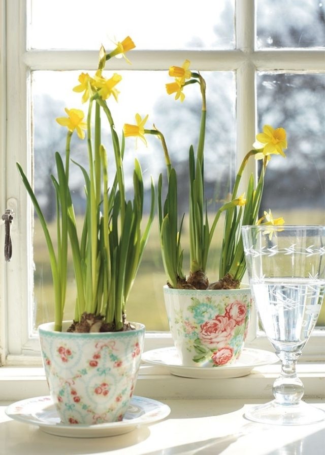 Spring Easter Bulb Plants Care Tips - Keramisk urtepotte
