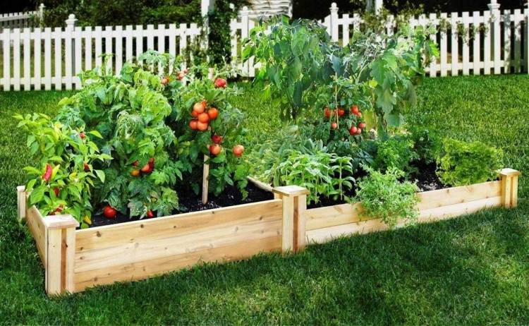 Tips-have-vedligeholdelse-grøntsager-have-træ-højbed