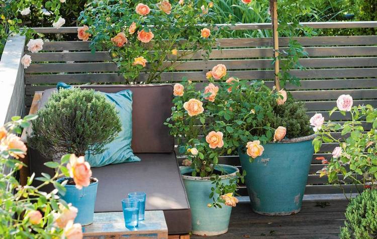 Roser i potter orange pink blomster dybe badekar balkon hjørnesofa