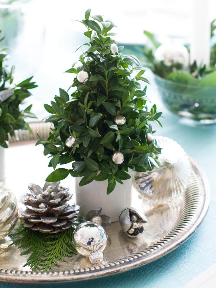 Borddekoration til jul-sølv-grøn-bakke-kegler-perler-glas-kugler-lille-plante