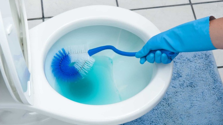 Brug en toiletbørste med desinfektionsmiddel eller toiletrens til at forhindre spredning af bakterier