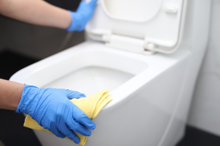 Rengør toilettet ordentligt og undgå bakterier som vira og bakterier