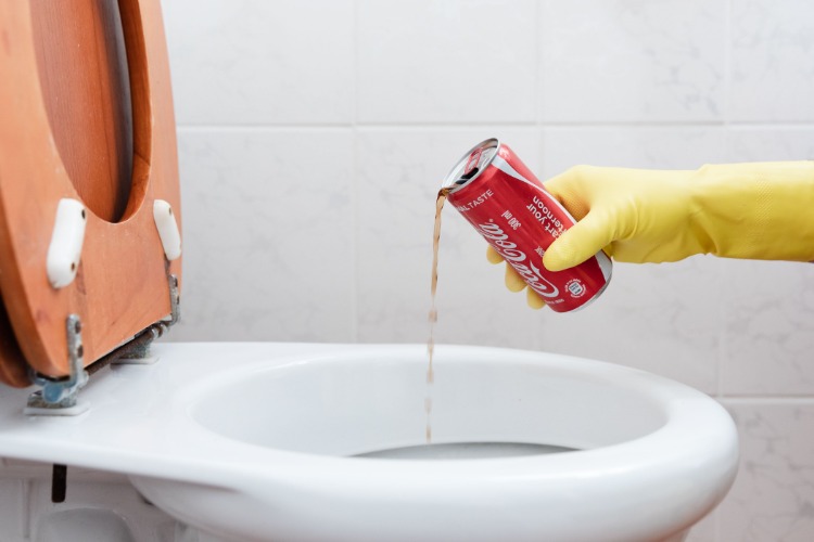 rengør toilettet med cola som et smart hjemmemedicin mod aflejringer og urinsten