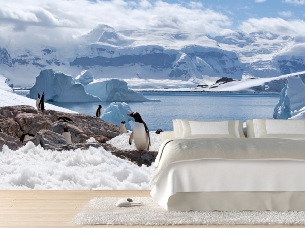 Vægdesign ideer ikke-vævet tapet fototapet design polare ispingviner