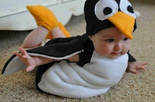 Baby kostume pingvin sjov sød