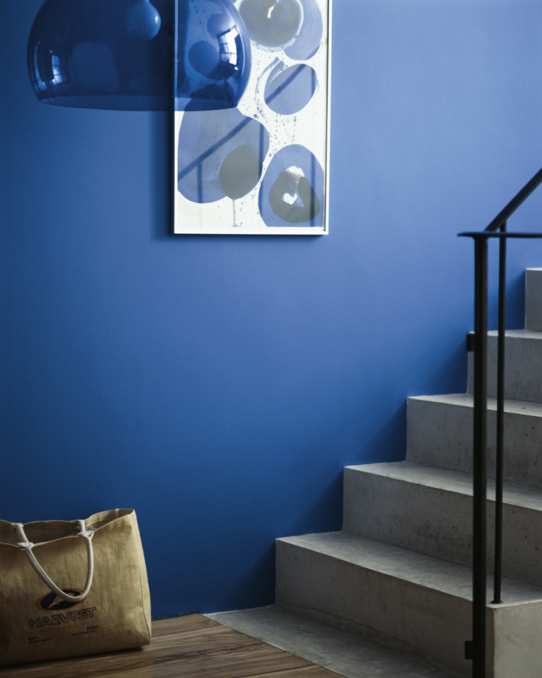 trappevægdesign i blåt med betontrapper og kunst