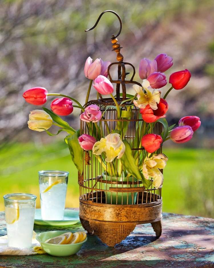Arranger blomsterarrangementet med tulipaner i buret dekorativt