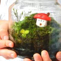 DIY mos florarium