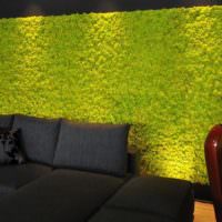 Svart sofa og grønn mosevegg