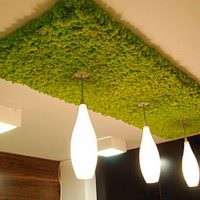 Moss taklampe dekor