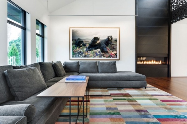 moderne hus med ædelt design behagelig sofa