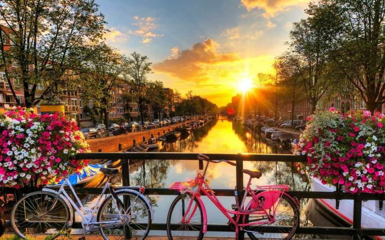 Miljøvenlige byer Rejser bæredygtigt i Amsterdam