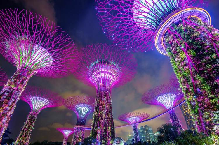 Miljøvenlige byer Gør Singapore grønne by til bæredygtige ferier