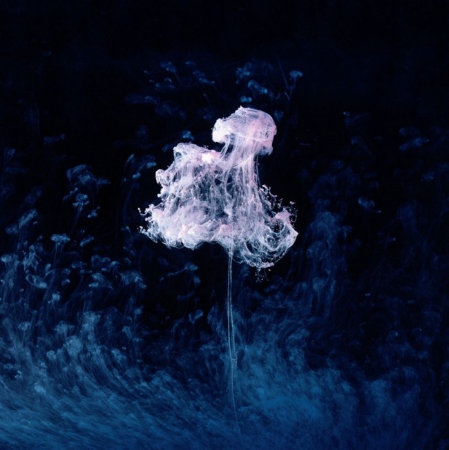 Fotoportefølje-Mark Mawson-vandige vandmænd-farver blæk hvid