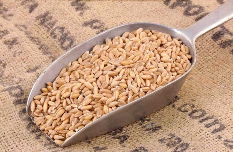 vegansk opskrift idé grød spelt korn sund mad ingrediens