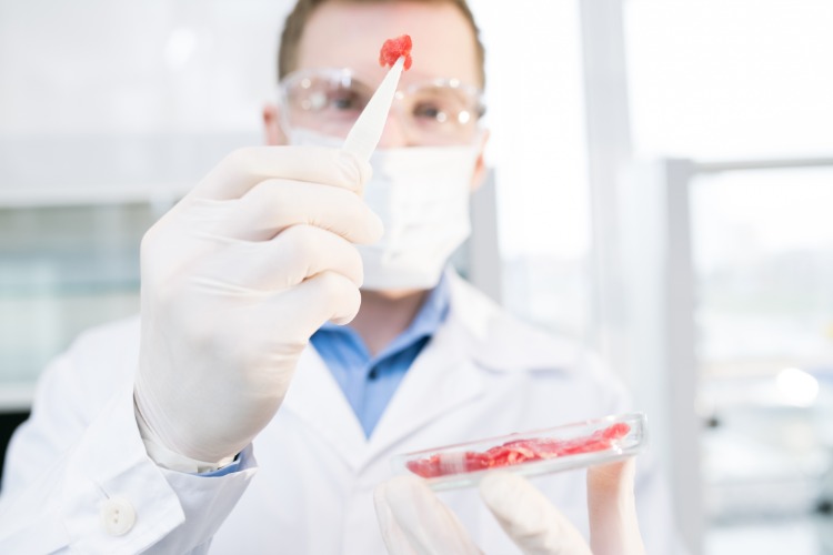 Forskeren analyserer en prøve af rødt kød i laboratoriet