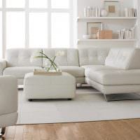 επιλογή για ένα ασυνήθιστο εσωτερικό σαλόνι με μια φωτογραφία καναπέ