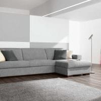 идеята за красив интериор хол с диван картина