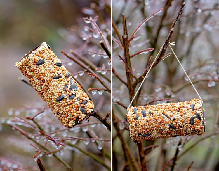 Enkel idé til fuglefoder fremstillet af loo -ruller med jordnøddesmør