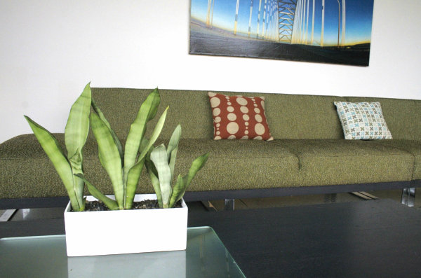 Stuen sofa design greening-moderne planter kar