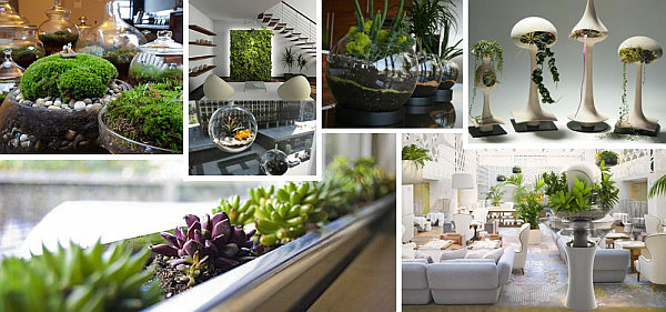 indendørs havedesign som ideer indretning grønne-stuer