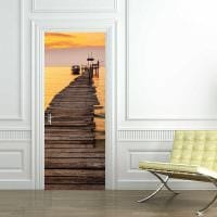 krásny dizajn interiérových dverí s fotografiou vlastnými rukami