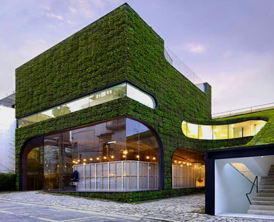 moderne-grøn-arkitektur-bæredygtigt-hus