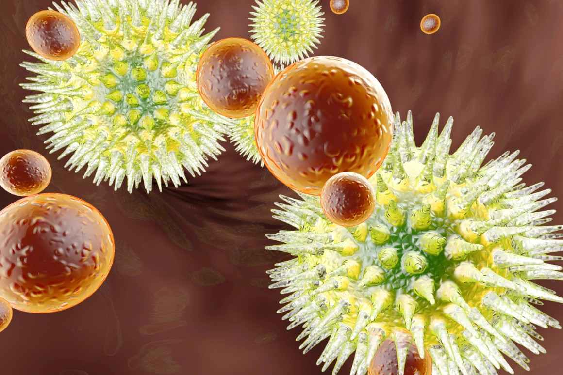 Et svagt immunsystem giver de bedste betingelser for et herpesudbrud