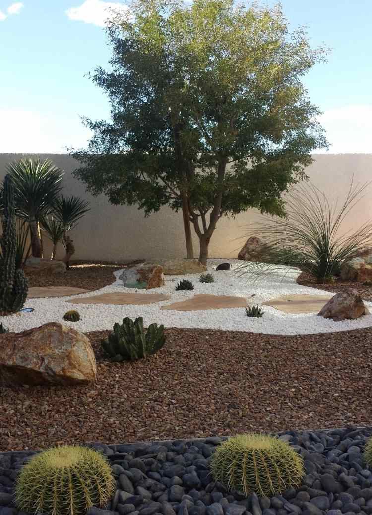 spare-vand-have-tør-ørken-have-mulch-grus-kaktus-træ