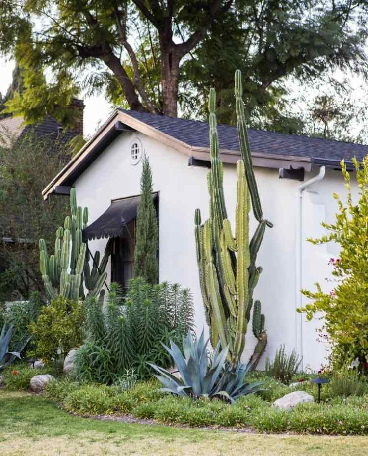 vandbesparende-have-tør-kaktus-agave-gruppe-planter