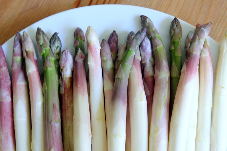 Dyrk asparges -grøn-hvid-violet-blonder-kok-høst-plade
