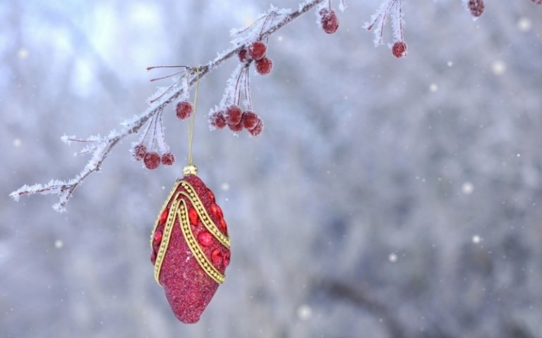 juledekoration i haven elegante smykkegren vinterfrost guldrød