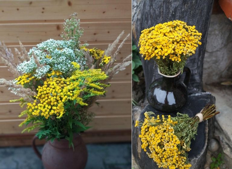 Opret blomsterbuketter mod fluer og som dekoration til lejligheden